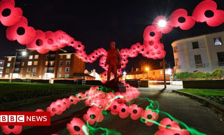 Essex: Remembrance poppies glow in night photographs