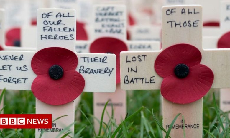 Remembrance Sunday: Veteran 'excited' as services return