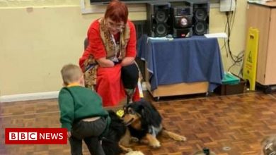 Retired Bedford teacher has teamed up with her dog to help children to read