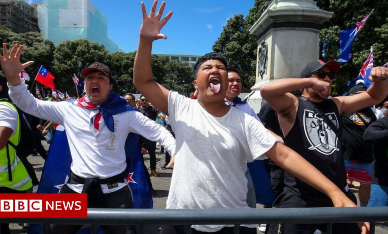 Maori tribe asks anti-vaccination protesters to stop using common haka