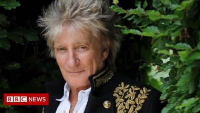 Rod Stewart Reveals Why He Doesn't Play Live Aid