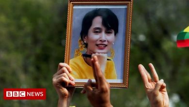 Aung San Suu Kyi gets good treatment: Myanmar Army