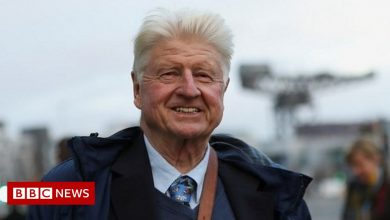 Tory MP accuses Prime Minister Stanley Johnson's father of inappropriate groping