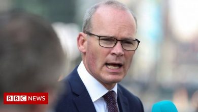 Coveney says Brexit: NI Protocol problems can be fixed by Christmas