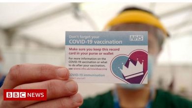 Covid-19: Mandatory vaccine passports can be enforced from December