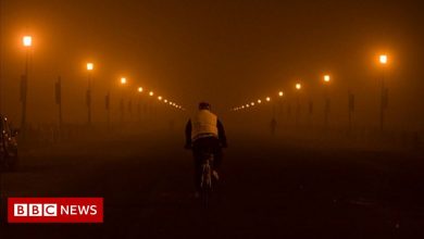 Delhi haze: Schools and colleges closed as pollution worsens