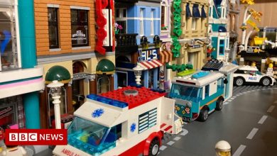 'Building a Lego city is a lifesaver in an impasse'