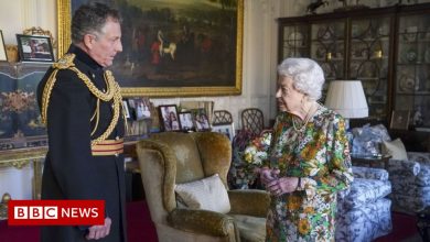 The Queen is seen on her first engagement since Cenotaph's absence