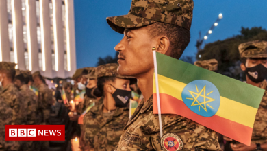 Ethiopia's Tigray Conflict: How TPLF Overcame the Army