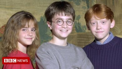 Harry Potter at 20: What the original cast did next