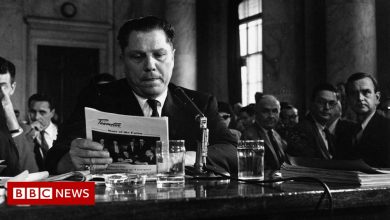 Jimmy Hoffa: New search for body of long-lost US union boss