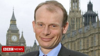 Andrew Marr leaves BBC to 'get his own voice back'
