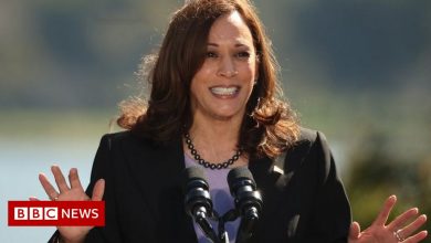 Kamala Harris: First Woman to Take the Presidency of the United States (briefly)