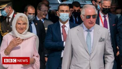 Prince Charles and Camilla: Why Diplomats Like It When Royals Visit