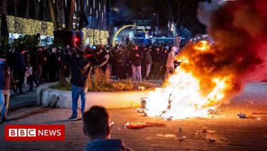 Rotterdam police clash with rioters as Covid protests turn violent