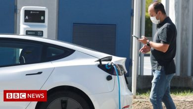 Tesla Driver Can't Start Car After Stopping