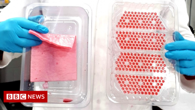 Plastic pollution: New meat tray 'could save tons of waste'
