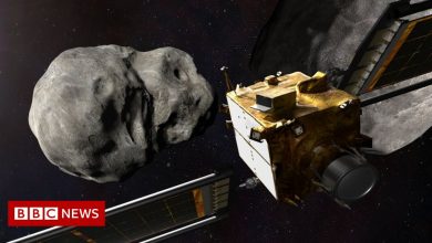 Dart: Dimorphos asteroid smashing mission is about to launch