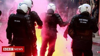 Covid: Austria returns to lockdown as protests stir Europe