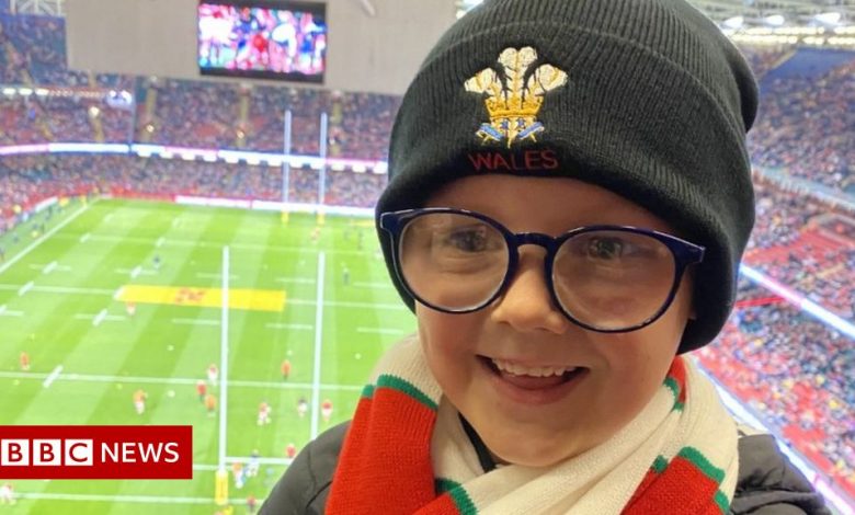Wales v Australia: Boy vomited by drunk fans in stadium