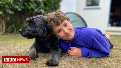 Boy in tent Max Woosey raises 'crazy' £680,000, hospice says