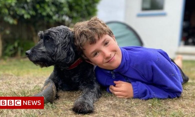 Boy in tent Max Woosey raises 'crazy' £680,000, hospice says
