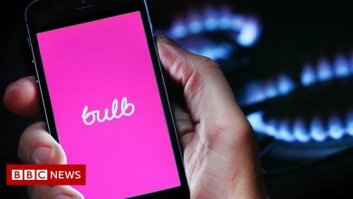 UK government set aside £1.7 billion to support Bulb . customers