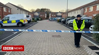 Norton Fitzwarren dead: Two men arrested