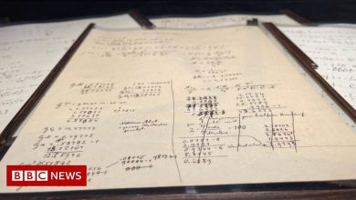 Albert Einstein's theory of relativity documents sold for record 11 million euros