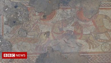 Remarkable Roman mosaic found in farmer's field