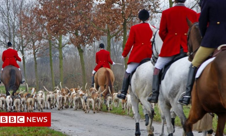 National Trust bans trail hunting on its land