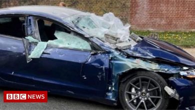 Owner of ruined Tesla criticizes HGV driver fined for dumping load
