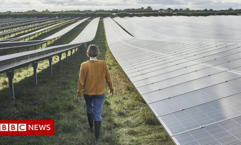 Report says more work is needed to create green jobs
