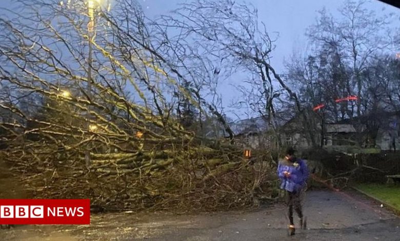 Homes without electricity as Scotland charges for storm Arwen
