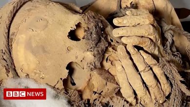 Pre-Inca mummies found in Peru