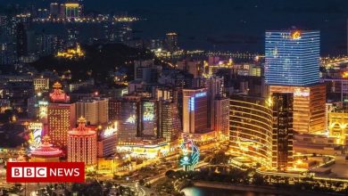 Macau casino shares fall after 'illegal gambling' arrest