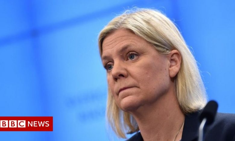 Magdalena Andersson: Sweden's first female Prime Minister to return after resigning