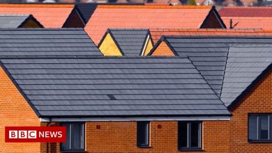 MPs support fixing the rent of new-built houses at one pepper a year