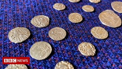 Norfolk Anglo-Saxon coin hoard could be worth £400,000