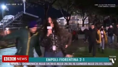 Italian football fan banned for 'slapping' journalist live on TV