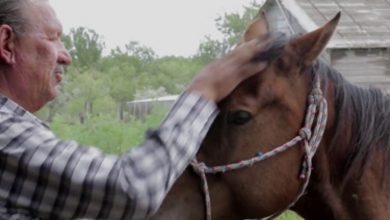 Native American tribes found healing through horses