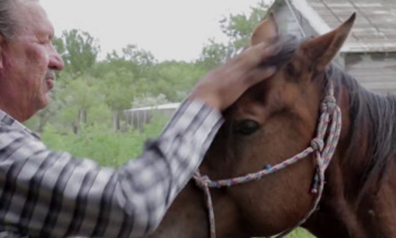 Native American tribes found healing through horses