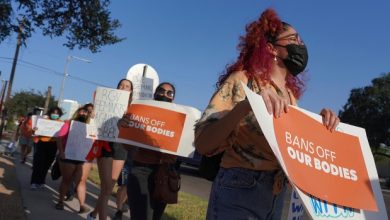 U.S. Supreme Court takes up Texas law banning most abortions