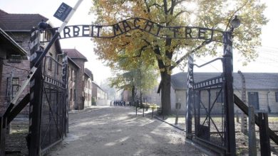 Israeli court halts auction of tattoo kit said to have been used at Auschwitz