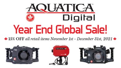 Aquatica Announces Year End Sale with 15% Off