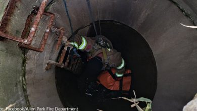 Firefighters Help Rescue 12-Year-Old Dog Who Fell In Sewer Well
