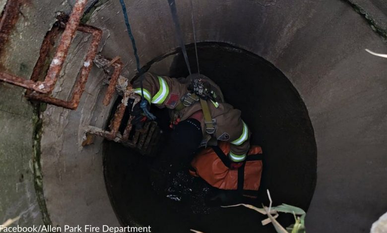 Firefighters Help Rescue 12-Year-Old Dog Who Fell In Sewer Well
