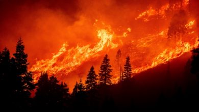 Increase in wildfires linked to climate change, study finds