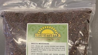Recall: Mumm's Sprouting Seeds brand Broccoli recalled