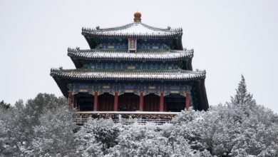 Early-season snow blankets Beijing, northern China